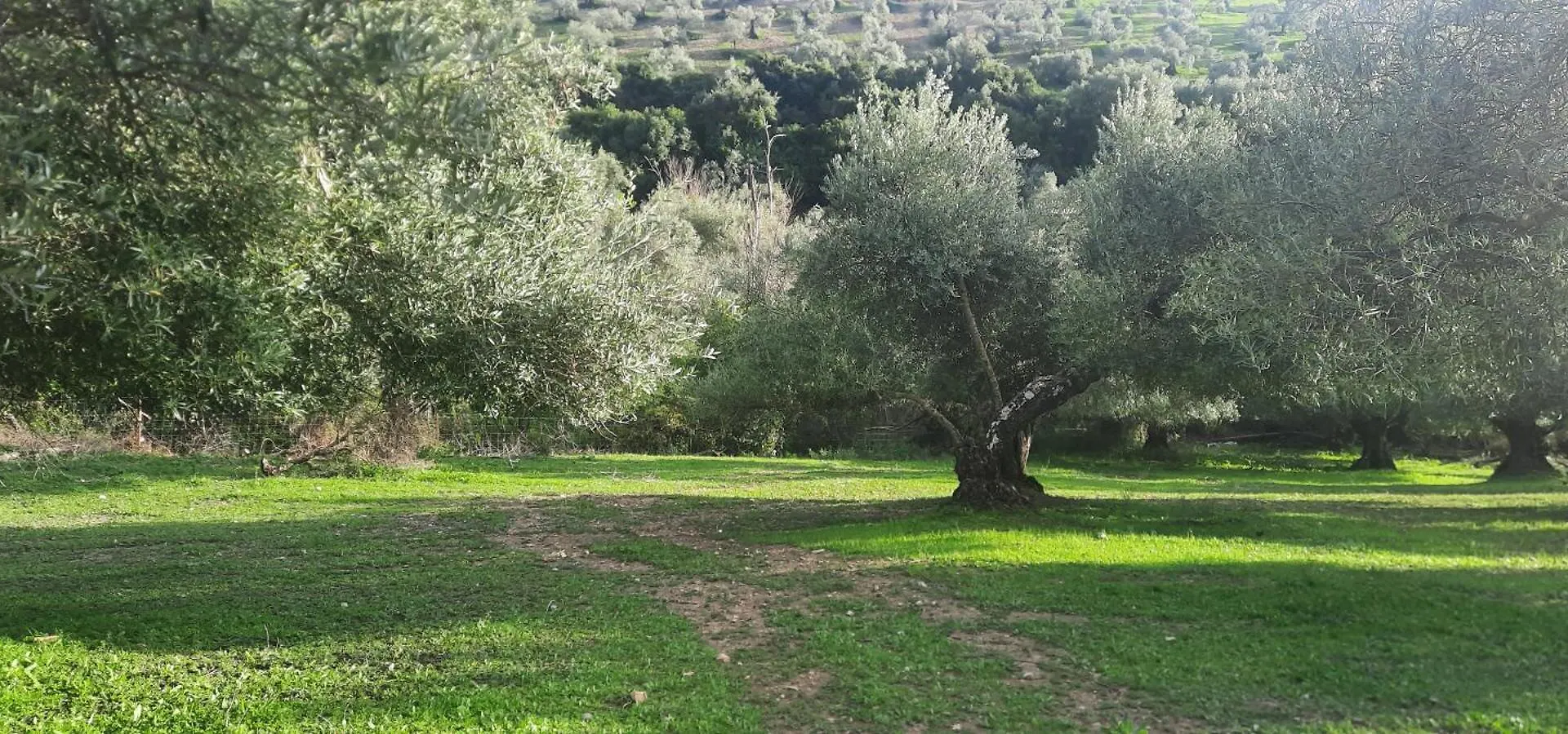 Hacienda Molino Nuevo Villa Algodonales Spain